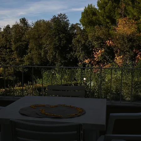 N185 - Numana, Meraviglioso Trilocale Con Terrazzo E Piscina アパート ヌマーナ